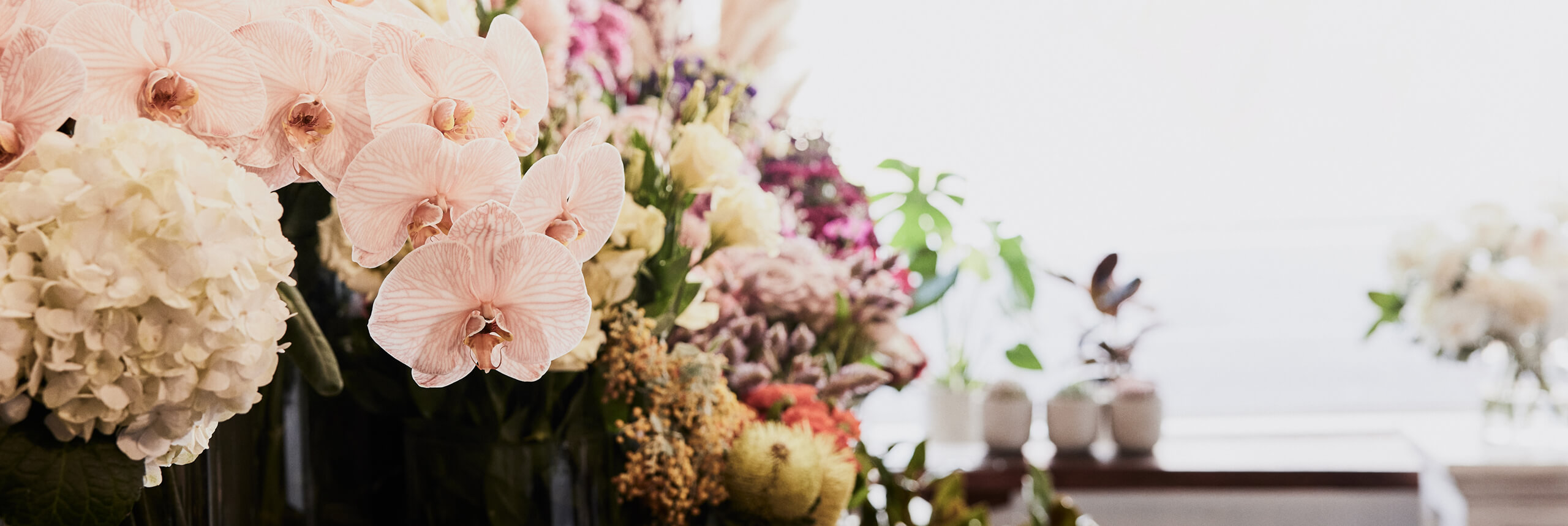 Same Day Flower Delivery Port Melbourne I The Flower Shed