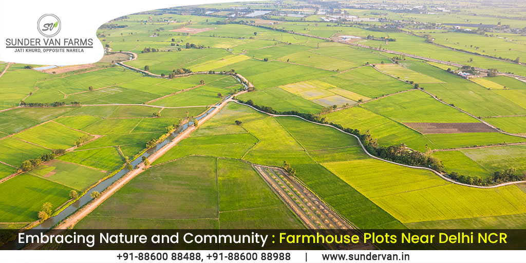 Embracing Nature and Community: Farmhouse Plots Near Delhi NCR