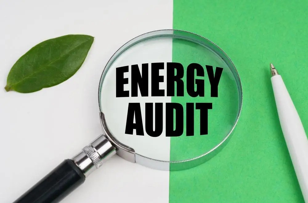 How to Harness the Power of Energy Audits for Commercial Growth - Blog Halt