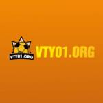 vty01 org Profile Picture