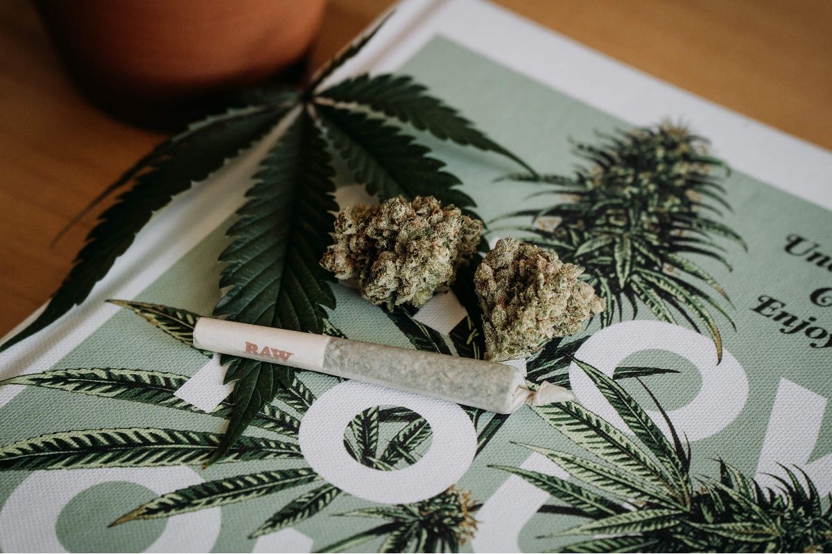The Ultimate Guide: How to Safely Buy Canadian Weed Online | TechPlanet