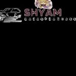 Shyam Rajasthan Cabs Profile Picture
