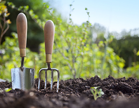 Strata lawn and garden Maintenance – Surrey-BC - Richmond