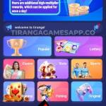 tirangagame game Profile Picture
