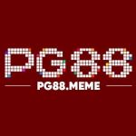 PG88 meme Profile Picture