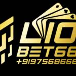 Lion Bet Profile Picture