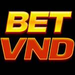 bet vnd Profile Picture
