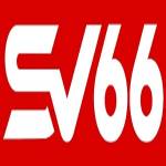 SV66 Profile Picture