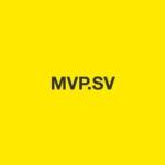 Mulligan Valley Partners Profile Picture