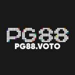 Pg88 Voto Profile Picture