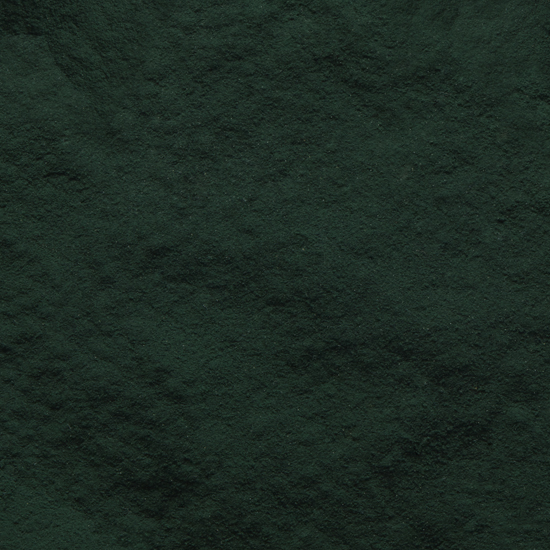 Bulk Organic Spirulina Powder Supplier | Wholesaler & Distributor