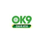 ok9 icu Profile Picture
