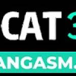 cat368 Profile Picture
