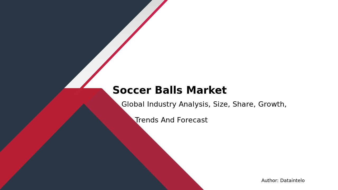 Request For Sample of Soccer Balls Market Report | Global Forecast From 2024 To 2032