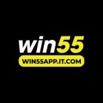 WIN55 Com Profile Picture