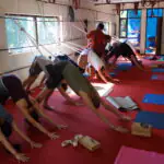 Mahi Yoga Teacher Training in Dharamsala Certified Yoga Alliance