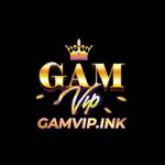 Cổng Game GAMVIP Profile Picture