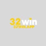 32 win Profile Picture