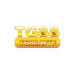 Tg88 wtf Profile Picture