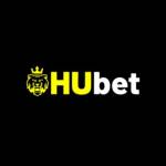 Hubet express Profile Picture