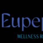 eupepsia wellness Profile Picture