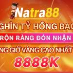 Natra 88 Profile Picture