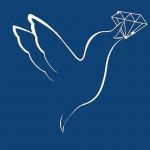 Jeenal Akratijewels Profile Picture