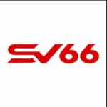 SV66 it com Profile Picture