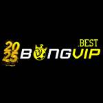 BONGVIP Link Nhà Cái Bong Vip profile picture