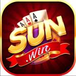 sunwinwin co Profile Picture