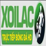 maltajazzfestivalorg Profile Picture