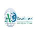 AO Developers Profile Picture