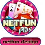 netfun Profile Picture