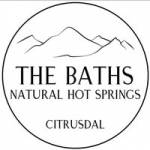The Baths Profile Picture