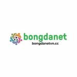 bongdanetvn cc Profile Picture