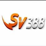 SV388 net Profile Picture