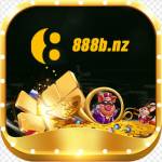 888b nz Profile Picture