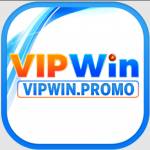 VIPWIN promo Profile Picture