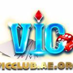 vicclub ae Profile Picture