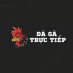 Đá Gà Trực Tiếp profile picture