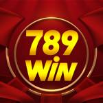 789WINWIN co Profile Picture