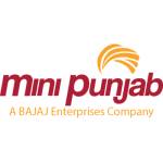 Mini Punjab Profile Picture