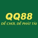 qq8889 biz Profile Picture