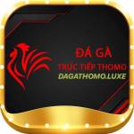 ĐÁ GÀ THOMO Profile Picture