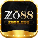Zo88 ceo Profile Picture