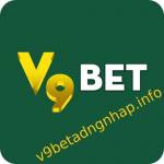 V9bet đăng nhập Profile Picture