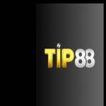 Tip88 it com Profile Picture