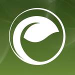 Green Leaves Profile Picture