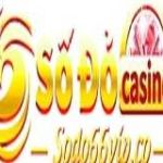 Sodo66 Profile Picture