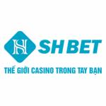 Nhà Cái SHBET Profile Picture